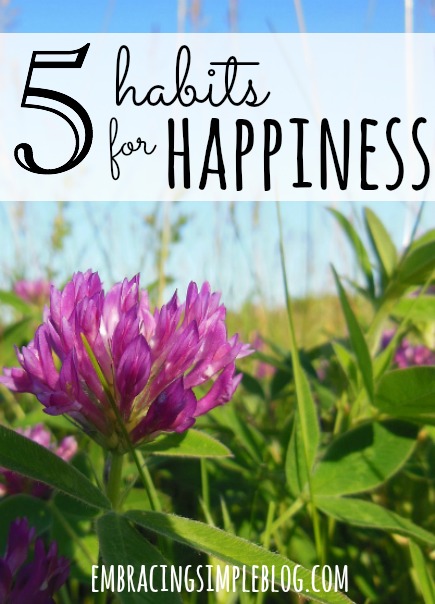 The key components of what makes happy people so happy, as well as different strategies for how to actually implement these habits for happiness into your own life. Click to learn these 5 habits for living a happier life at www.embracingsimpleblog.com.