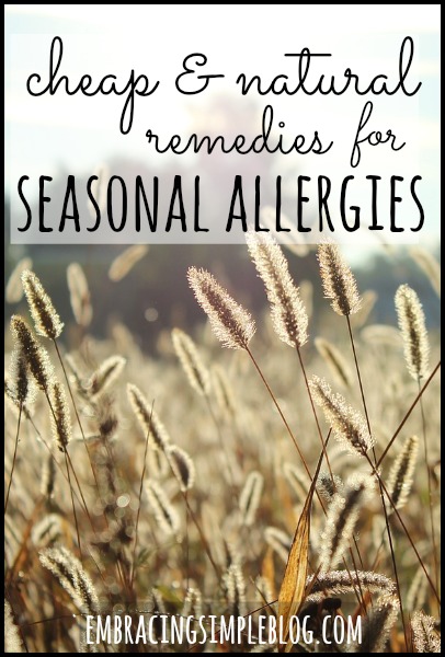 Suffering from seasonal allergies and looking for some remedies? Here are some Cheap and Natural Remedies for Seasonal Allergies that won't break the bank!