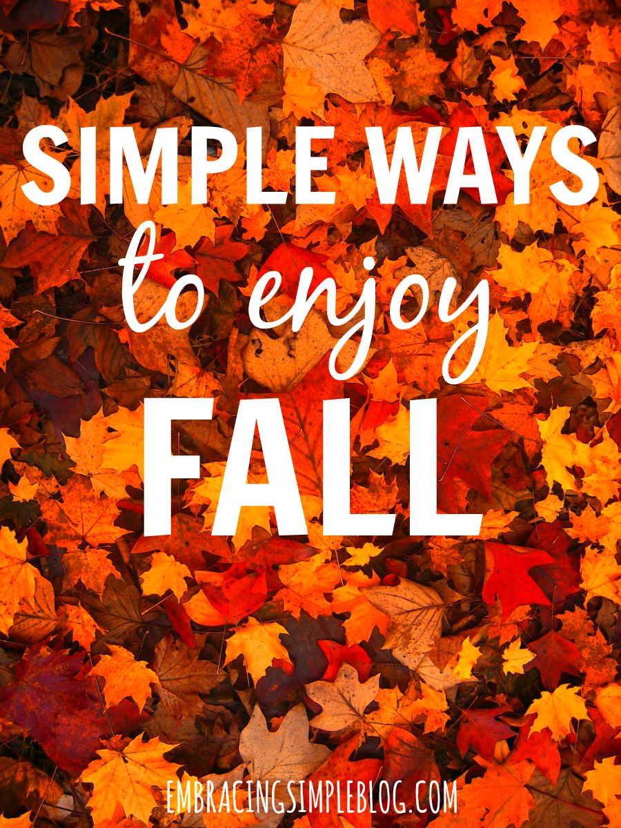 Looking for inexpensive ways to have fun this fall? Check out this great list of simple ways to enjoy fall. This will inspire you to create fall traditions of your own that you'll look forward to year after year!