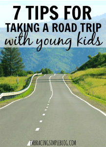 Tips for Taking A Road Trip with A Toddler